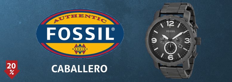 Correa para Reloj En Piel Omega Citizen Seiko Fossil Bulova – Capiyu