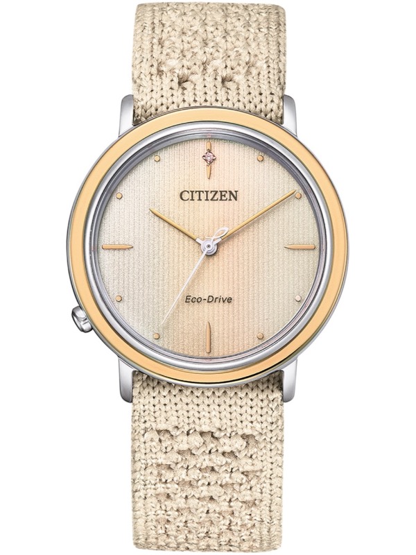 CITIZEN - EM1006-40A